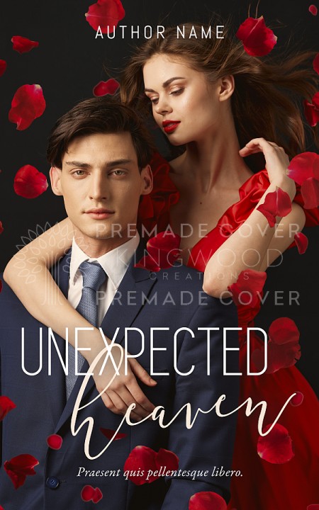enemies freinds to lovers romance premade cover